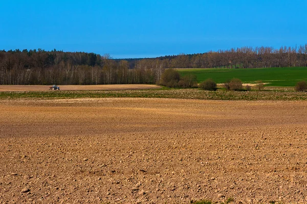 Peisaj câmp de primăvară poloneză — Fotografie, imagine de stoc