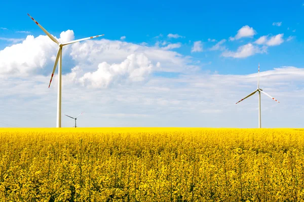 Wind mill turbines farm landscape rape — Stock Photo, Image