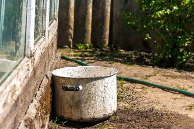 pis yaşlı beyaz pot arka açık