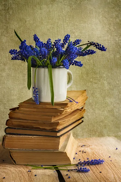 Bouquet hyacinth flowers books vintage wooden — Stock Photo, Image