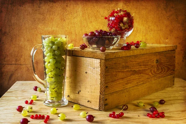 Stachelbeere rote Johannisbeere Früchte Jahrgang — Stockfoto