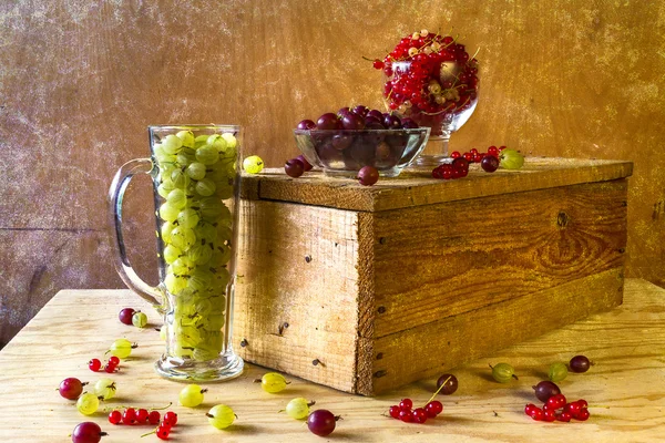 Stachelbeere rote Johannisbeere Früchte Jahrgang — Stockfoto
