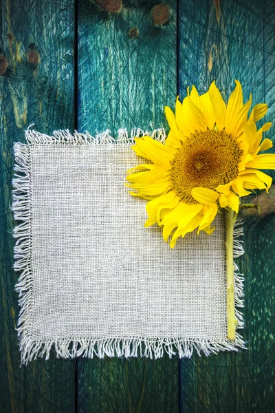Sanat arka plan yaz çiçek vintage ayçiçeği — Stok fotoğraf