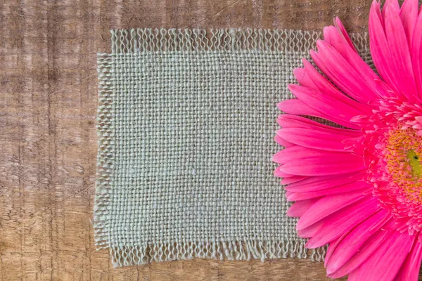 Hout achtergrond houten aard ruwe planken materiële bloem gerbera — Stockfoto