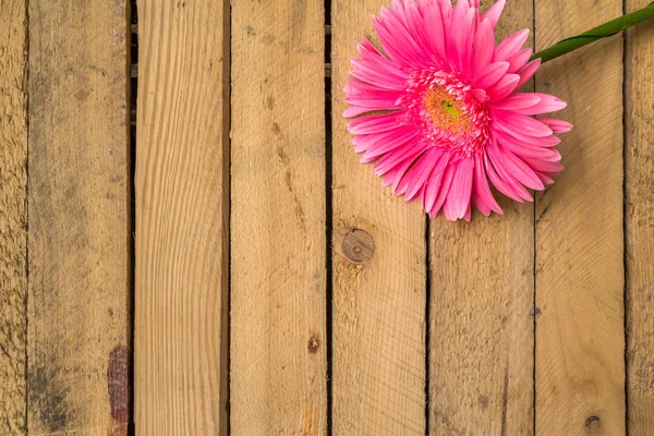 Dřevo pozadí dřevěná přírodní surové desky materiálu květiny gerbera — Stock fotografie
