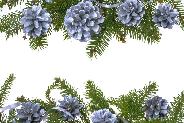 Kerstmis decoratie achtergrond pine dennen vuren twig wit — Stockfoto