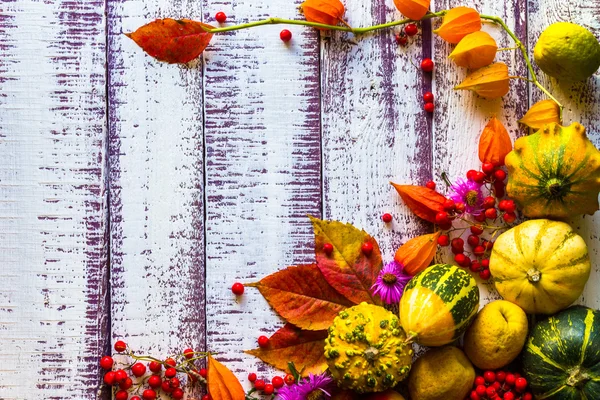 Herbst Herbst Hintergrund Tisch Hintergrund Gemüse Obst — Stockfoto