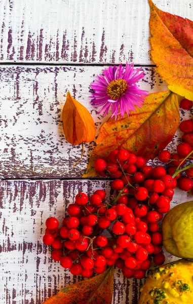 Herfst val achtergrondtabel instellen achtergrond groenten fruit — Stockfoto