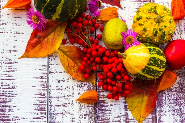 Automne automne fond table réglage fond légumes fruits — Photo