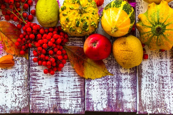 Осень осенью стол настройки фона овощи фрукты — стоковое фото