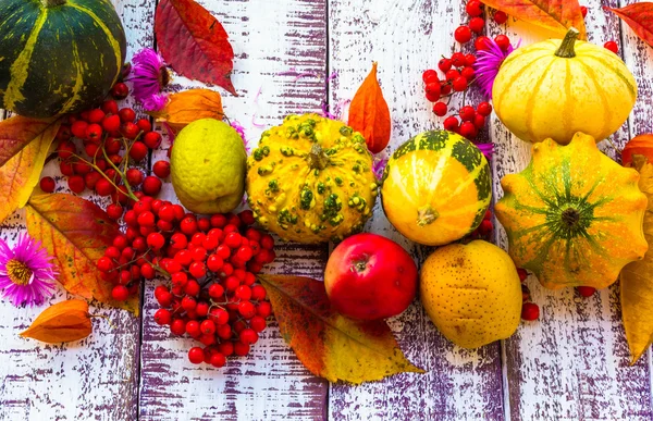 Sonbahar sonbahar arka plandaki tabloda sebze meyve arka plan ayarlama — Stok fotoğraf