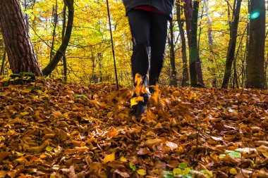 Nordic yürüyen çalıştırmak spor yürüyüş motion blur açık kişi fo bacaklar