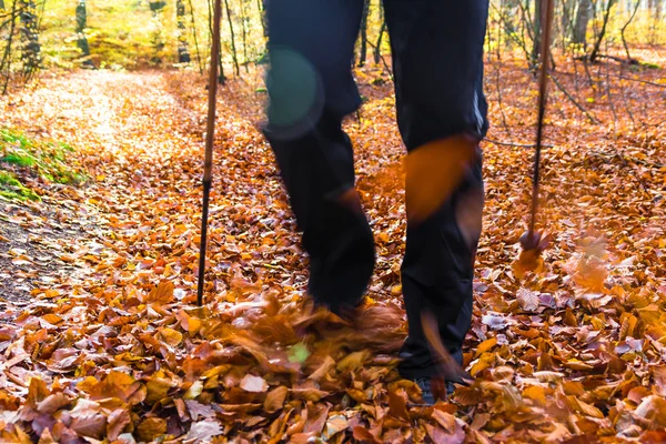 Nordic Walking Sport Run Walk Motion verschwimmen Outdoor-Person Beine für — Stockfoto