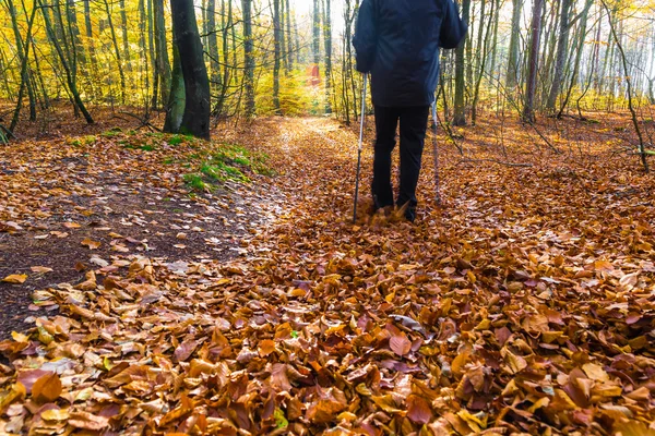 Nordic walking sport run walk motion blur outdoor person legs fo — Stock Photo, Image