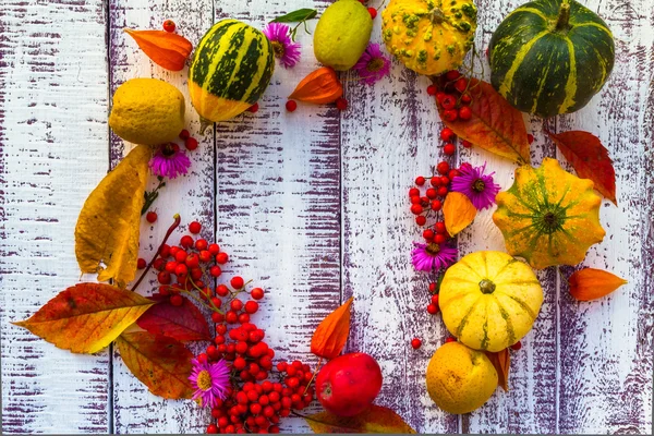 Осень осенью стол настройки фона овощи фрукты — стоковое фото