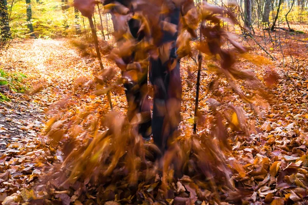 Nordic walking sport run walk motion blur outdoor person legs fo — Stock Photo, Image