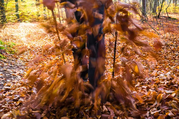 Nordic Walking Sport Run Walk Motion verschwimmen Outdoor-Person Beine für — Stockfoto