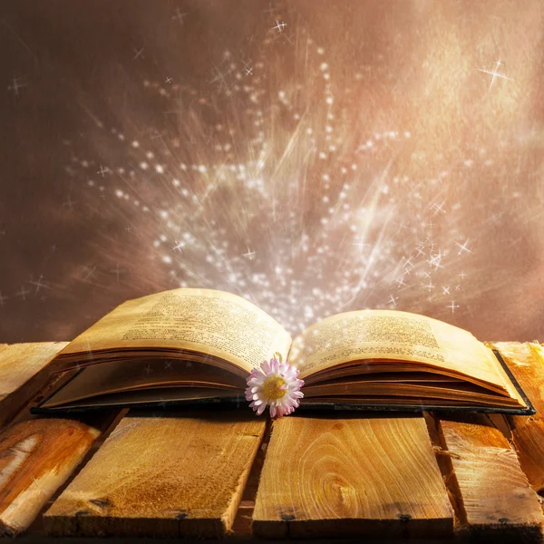 Açık kitap magic
