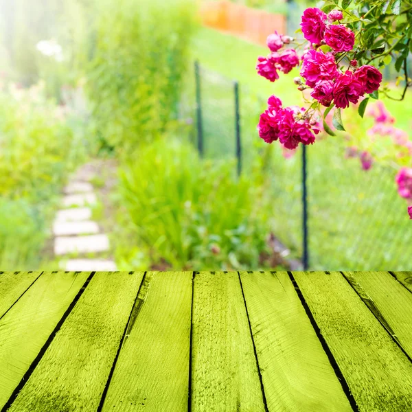 Fondo de primavera pequeño jardín panel de madera — Foto de Stock