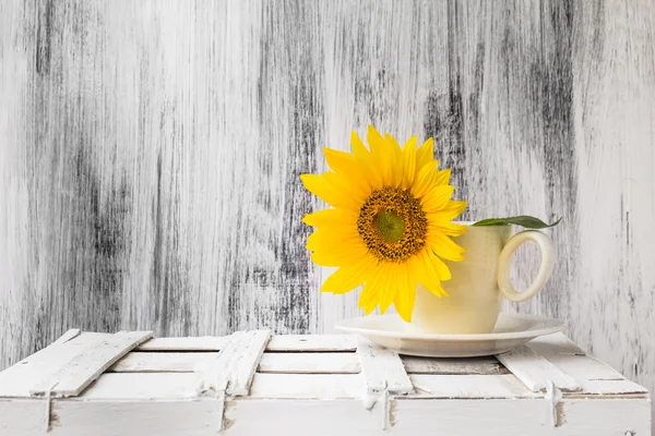 Hintergrund Stillleben Blume Sonnenblume Holz weiß vintage cup — Stockfoto