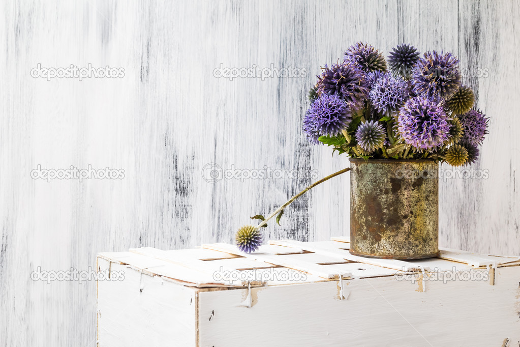 background still life flower sunflower wooden white vintage