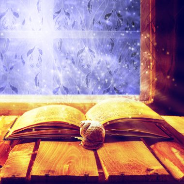 eski kitap sihirli salyangoz açın