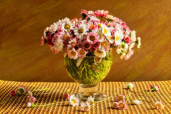 Zátiší kytice sedmikrásky tabulka — Stock fotografie