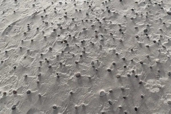 Пляжный песок крупным планом покрыт галькой — стоковое фото