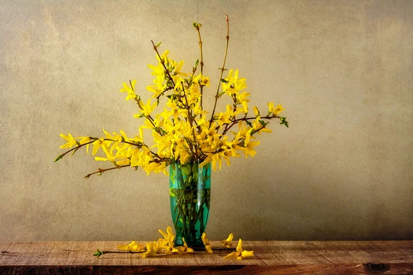 Natürmort buket hor çiçeği — Stok fotoğraf