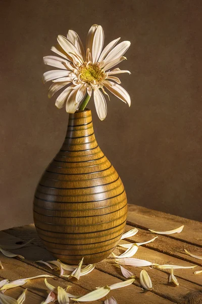 Stillleben Blume Gerbera Vase — Stockfoto