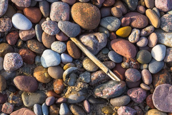 Background pebbles different sizes stony beach — Stock Photo, Image