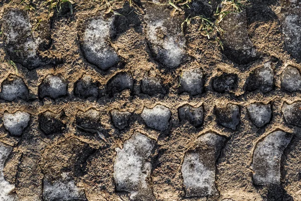 Laufflächenmuster Reifen gefrorenen Boden — Stockfoto