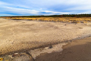 çim kaplı kumullar shores Baltık Denizi
