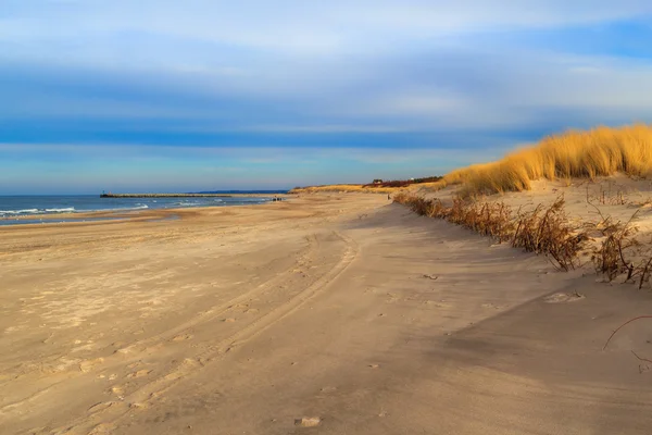 Grass covered dunes shores Baltic Sea — Stock Photo, Image