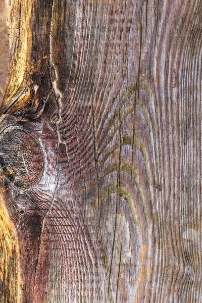 Rough wooden plank visible discoloration knots — Stock Photo, Image