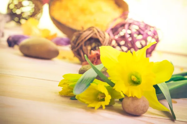 Spa inställningen blomma zen stenar — Stockfoto