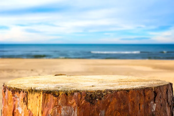 Сосновий пень фону морський пляж — стокове фото