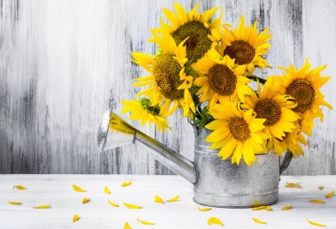 Natürmort buket ayçiçeği sulama olabilir