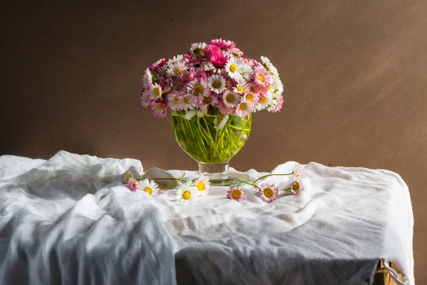 Stillleben Strauß Gänseblümchen — Stockfoto