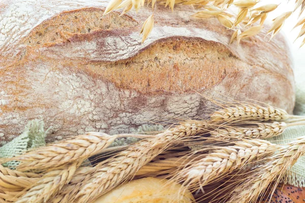 Productos de panadería de grano de orejas — Foto de Stock