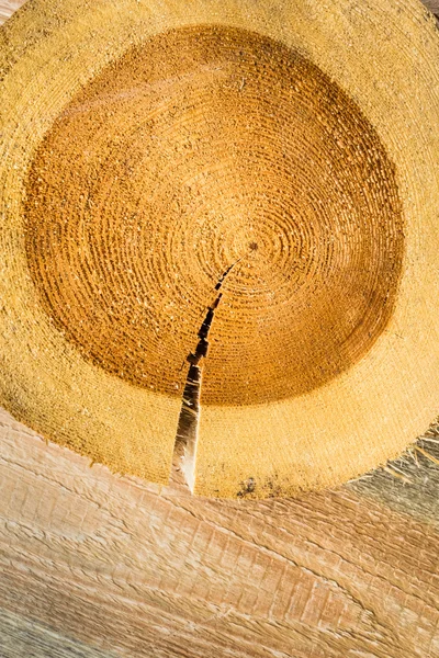 Tronco de árvore rachado bancada de madeira marrom — Fotografia de Stock