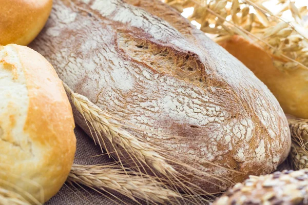 Composition fresh bread crispy rolls — Stock Photo, Image