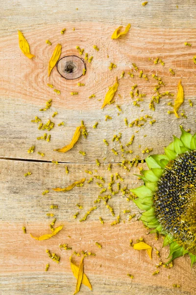 Фон квітки насіння соняшнику дерев'яна стільниця — стокове фото