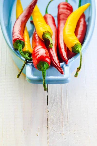 Hintergrund bunte Paprika blaue Schüssel — Stockfoto