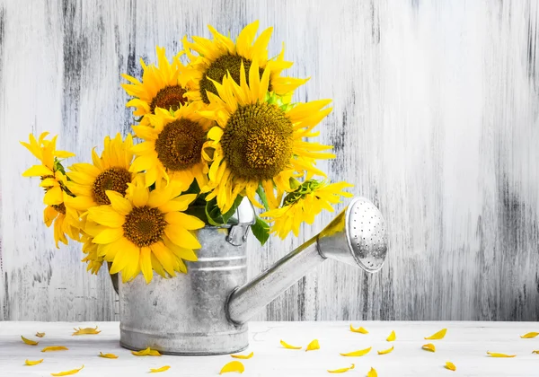 Zátiší kytice slunečnic konev — Stock fotografie