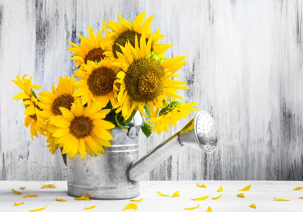 Natura morta bouquet girasoli irrigazione può — Foto Stock