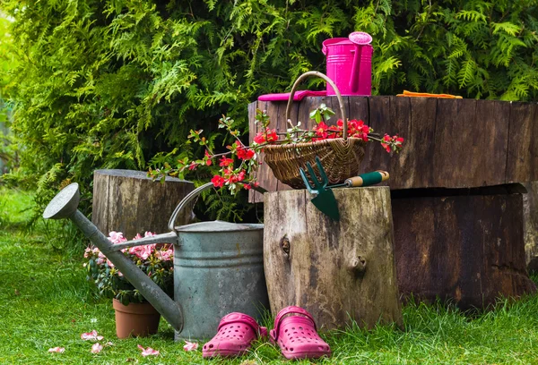 Utensili da giardino primaverili giardinaggio — Foto Stock