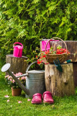 bahar bahçe bahçecilik aletleri araçları