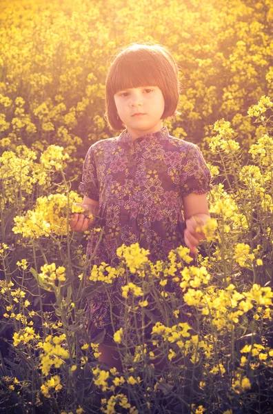 Bambina stupro campo bouquet mano — Foto Stock