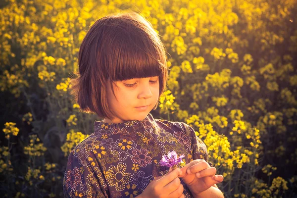 Bambina stupro campo bouquet mano — Foto Stock